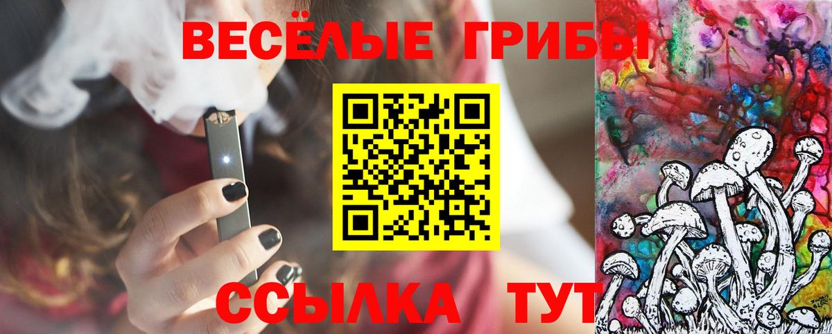 Псилоцибиновые грибы мицелий Кузнецк